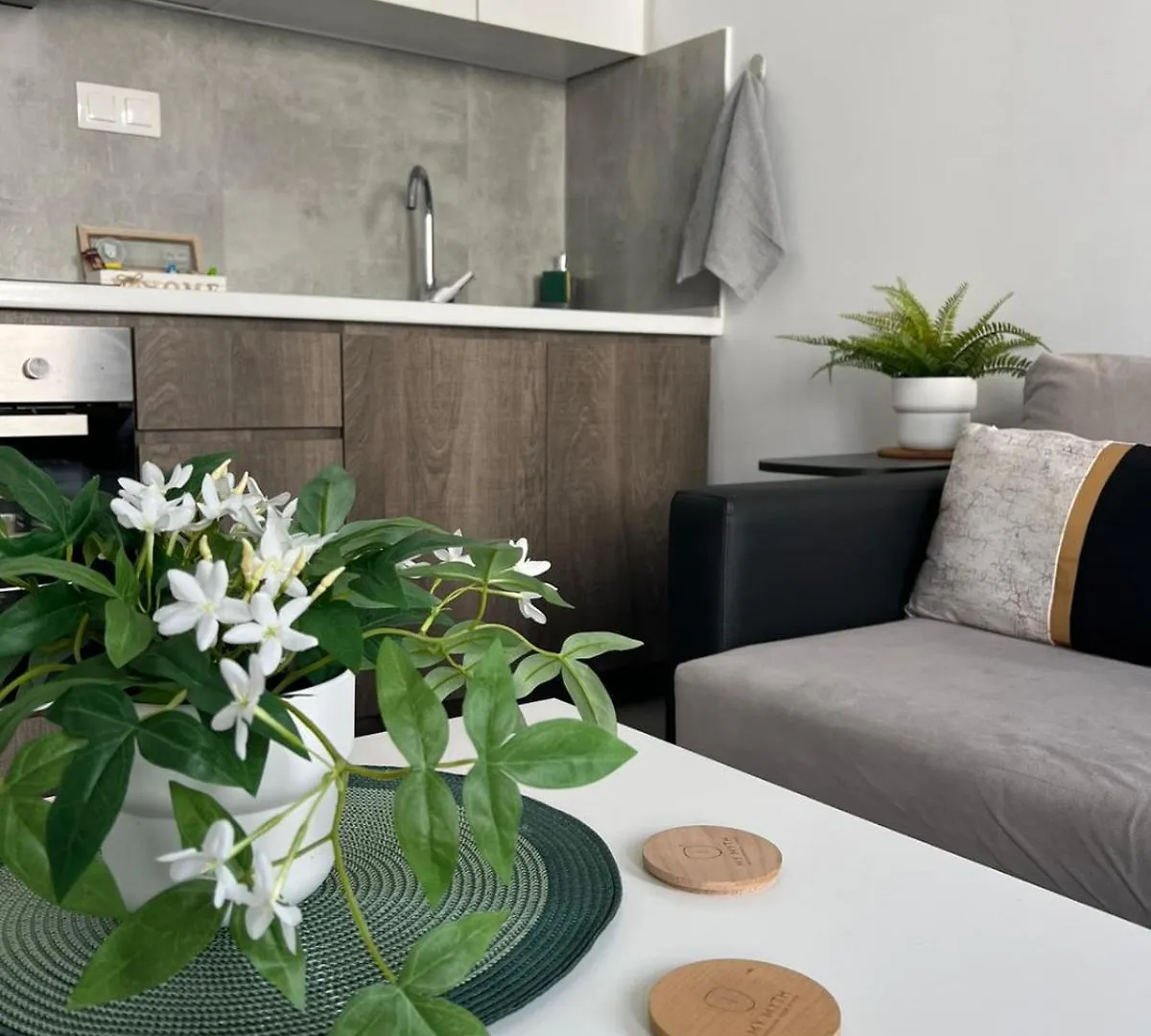 סלוניקי My Myth Veranda Suite 2 דירה